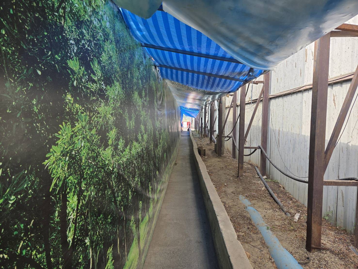 โครงการ